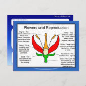 Onderwijs, wetenschap, bloemen en voortplanting briefkaart (Voorkant / Achterkant)
