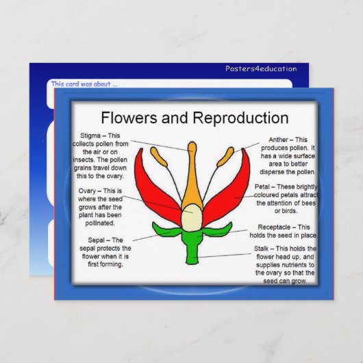 Onderwijs, wetenschap, bloemen en voortplanting briefkaart (Voorkant / Achterkant)