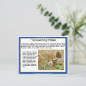 Onderwijs, wetenschap, leven, stuifmeel vervoeren briefkaart (Staand voorkant)