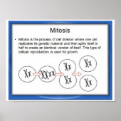 Onderwijs, wetenschap, Mitose Poster (Voorkant)