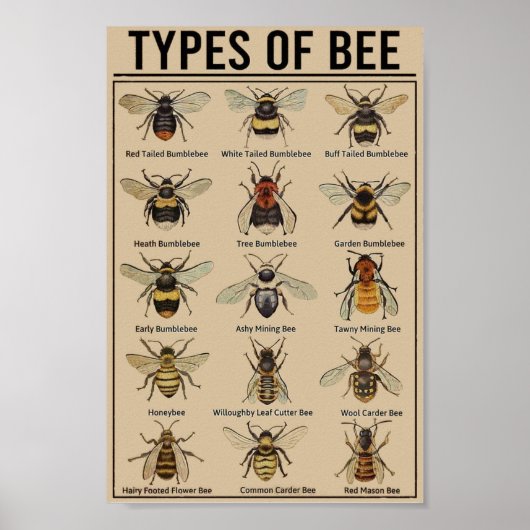 Onderwijsbijen  poster (Voorkant)