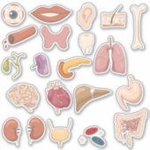 Onderwijsonderdelen en organen van het menselijk l sticker (Voorkant)