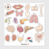 Onderwijsonderdelen en organen van het menselijk l sticker (Vel)
