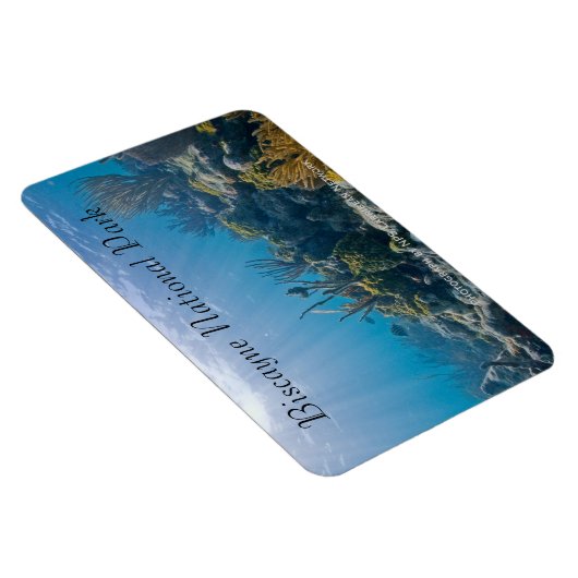 Onderzee, Biscayne National Park Magneet (Rechterzijde)