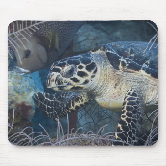 Onderzees leven: Een Hawksbill Zee Turtle Muismat (Voorkant)