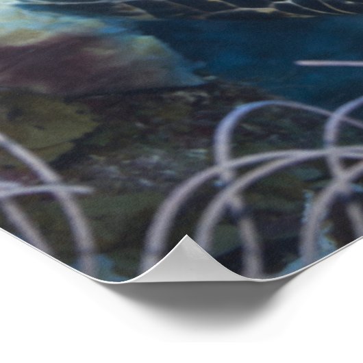 Onderzees leven: Een Hawksbill Zee Turtle Poster (Hoek)