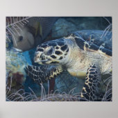 Onderzees leven: Een Hawksbill Zee Turtle Poster (Voorkant)