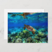 Onderzees tropisch Zee schildkoraal Briefkaart (Voorkant / Achterkant)