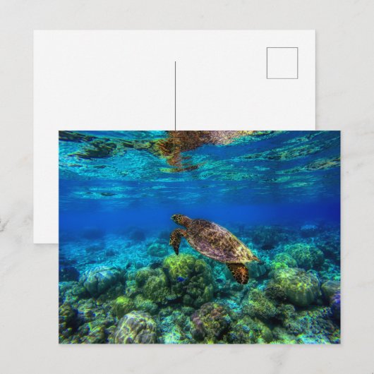 Onderzees tropisch Zee schildkoraal Briefkaart (Voorkant / Achterkant)