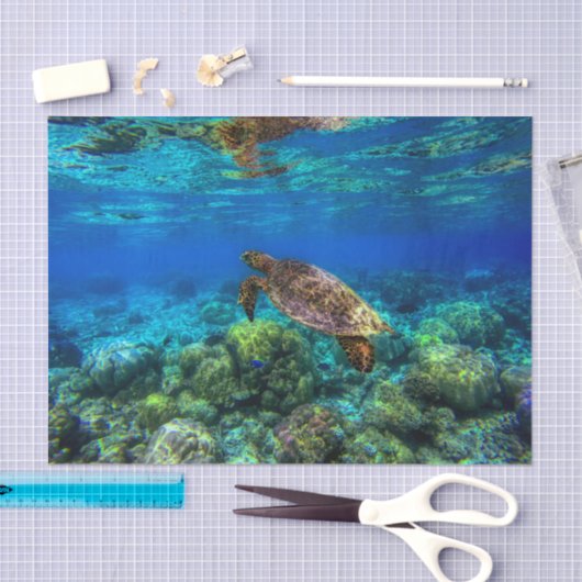 Onderzees tropisch Zee schildkoraal Tissuepapier (Craft)