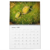 Onderzeese agenda 2017 kalender (Jan 2027)