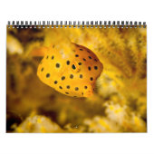 Onderzeese agenda 2017 kalender (Hoes)