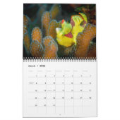 Onderzeese agenda 2017 kalender (Mar 2026)