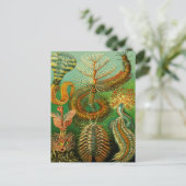 Onderzeese kleur briefkaart (Staand voorkant)