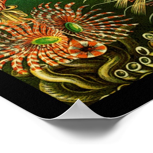 Onderzeese kleur poster (Hoek)