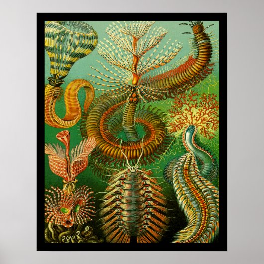 Onderzeese kleur poster (Voorkant)