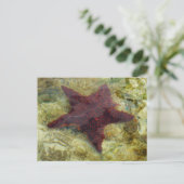 Onderzeese kreeften op de Bahama's Briefkaart (Staand voorkant)