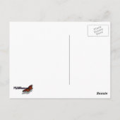 Onderzeese kreeften op de Bahama's Briefkaart (Achterkant)