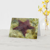 Onderzeese kreeften op de Bahama's Kaart (Gele Bloem)