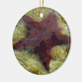 Onderzeese kreeften op de Bahama's Keramisch Ornament (Links)