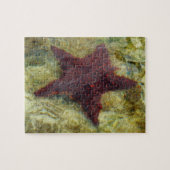 Onderzeese kreeften op de Bahama's Legpuzzel (Horizontaal)