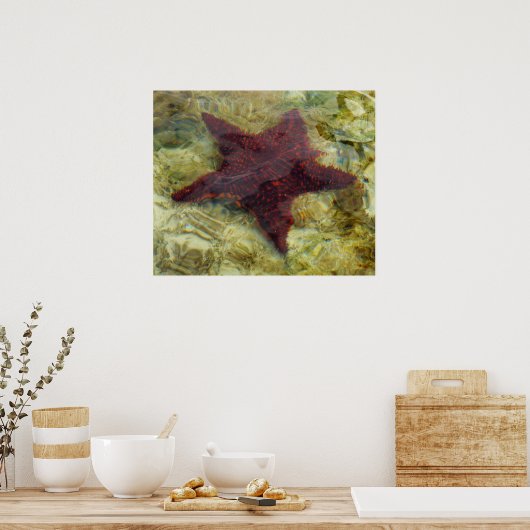 Onderzeese kreeften op de Bahama's Poster (Keuken)