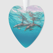 Onderzeese onderwaterdolfijnen Gedateerde foto Aan Ornament (voorkant)
