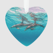 Onderzeese onderwaterdolfijnen Gedateerde foto Aan Ornament (voorkant)