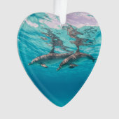 Onderzeese onderwaterdolfijnen Gedateerde foto Aan Ornament (voorkant)