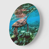 Onderzeese tropische Zee schildpad Grote Klok (Hoek)