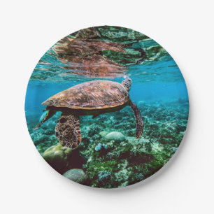Onderzeese tropische Zee schildpad Papieren Bordje