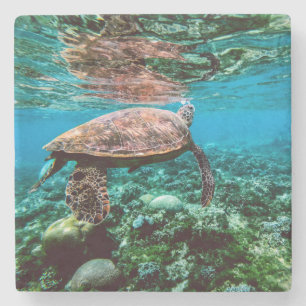 Onderzeese tropische Zee schildpad Stenen Onderzetter