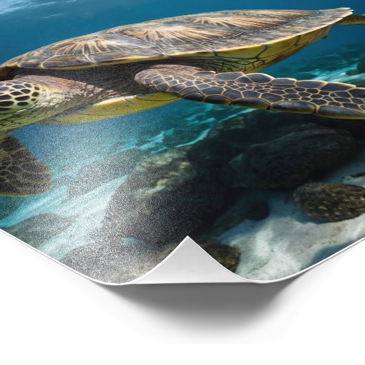 Onderzeese Zee Foto Afdruk (Hoek)