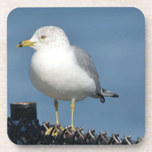 Onderzetter (Voorkant)