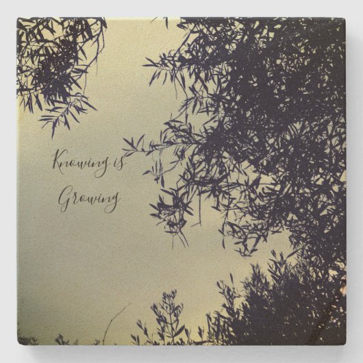 onderzetter (Voorkant)