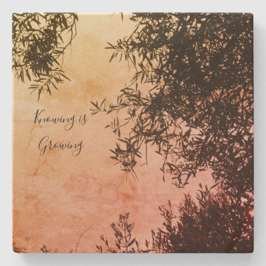 onderzetter (Voorkant)