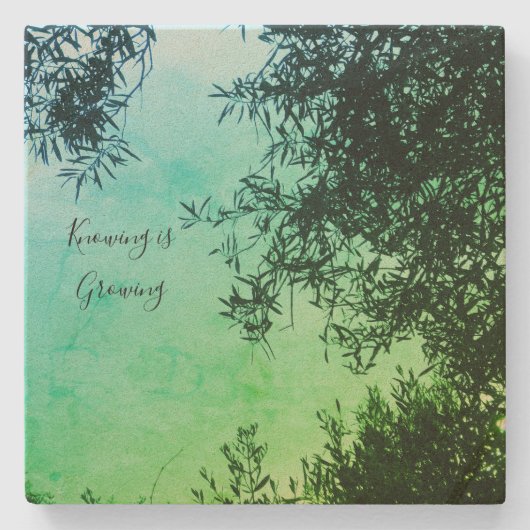 onderzetter (Voorkant)