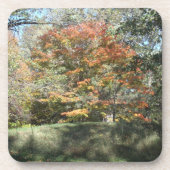 Onderzetter (Voorkant)