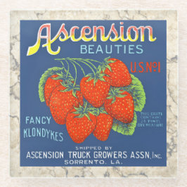 ONDERZETTER - Ascension Beauties - Creëer een krat Glazen Onderzetter