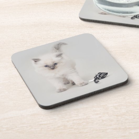 Onderzetter Bluepoint Ragdoll Kitten (Linkerzijde)