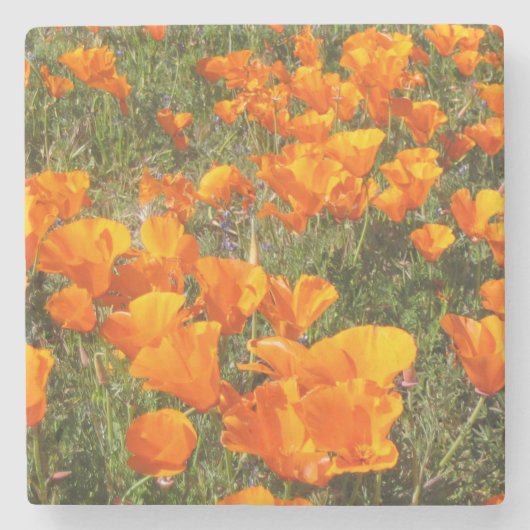 Onderzetter California Poppies Stone (Voorkant)