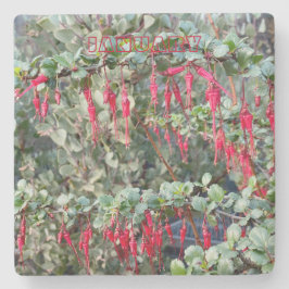 ONDERZETTER CALIFORNIË: JANUARI