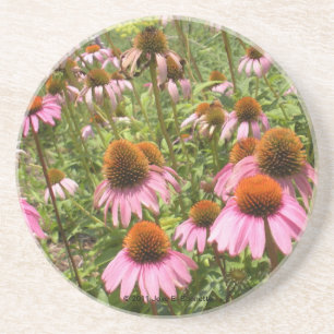 Onderzetter Coneflowers