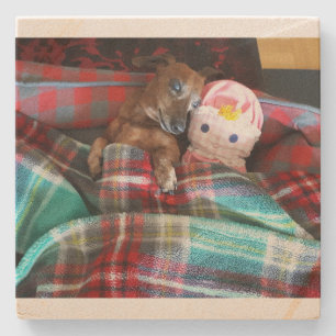 Onderzetter Dachshund Stone