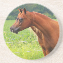 Onderzetter Dubbele Afbeelding BOGO-kleuren