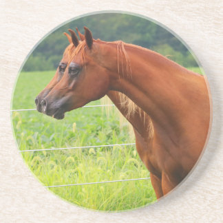 Onderzetter Dubbele Afbeelding BOGO-kleuren