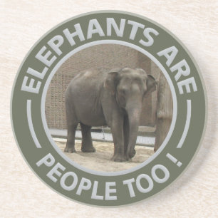 ONDERZETTER ELEPHANTS