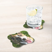 Onderzetter Engelse bull Terrier (Insitu)