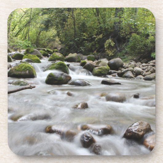 Onderzetter Forest Stream-set (Voorkant)