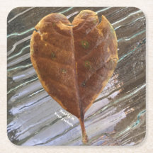 Onderzetter gekraakt bladerhart in geklonterd wate